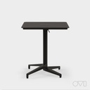 FLEXO TABLE